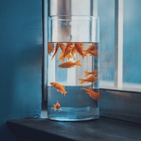 Lý Mỹ Lệ